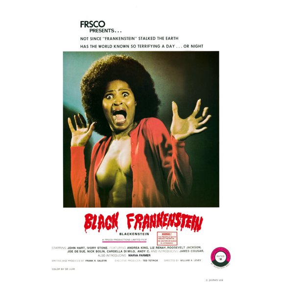 Black Frankenstein Mini Movie Poster 11inx17in in Mail/storage/gift tube 11x17 poster