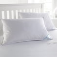 thumbnail image 3 of BeautySleep 2 Pack Feather Cotton Pillow Set, 3 of 3