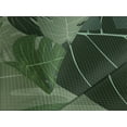 thumbnail image 4 of Ambesonne Forest Green Quilted Bedspread Set 3 Pcs, Camo Palm Leaves, King Size, Sage Green Pale Green, 4 of 5