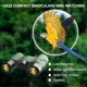 thumbnail image 4 of Binoculares HD 10x22 para adultos y niños, lente ED con revestimiento de 60 capas, compactos, impermeables y antivaho para observación de aves, caza, observación de estrellas y viajes., 4 of 8