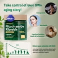 thumbnail image 3 of Nicotinamide Riboside 900mg - with Nicotinamide Riboside & Resveratrol - Boosting NAD+ Levels, Supports Healthy Aging, Anti-aging - 100 Capsules, 3 of 8