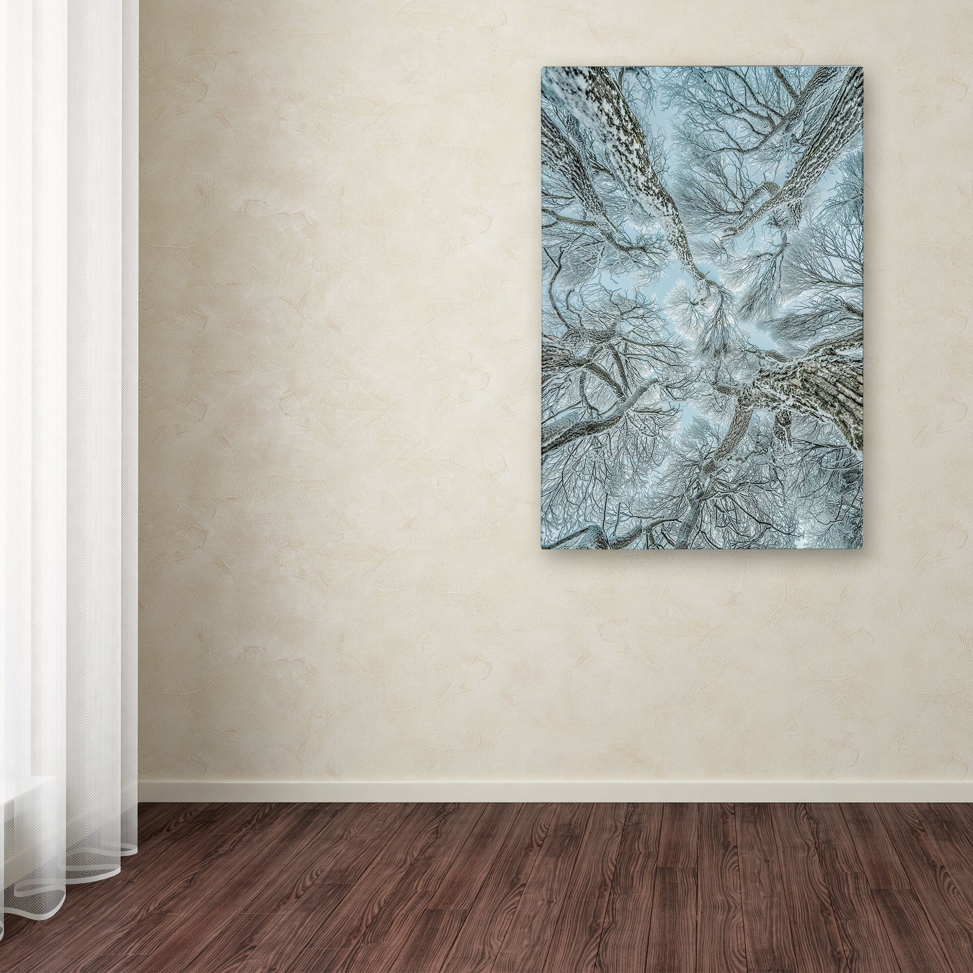 Trademark Fine Art 'Winter Frost' Canvas Art by Petri Damstï¿½n