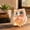 D, variant on Owl Statue Tumbled Stone Gemstone Owl Figurine Home Decor Shelf Decor