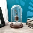 thumbnail image 2 of Plymor 5.5 inch x 10 inch Glass Display Dome Cloche (Dark Wood Base), 2 of 2