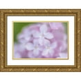 thumbnail image 1 of Murdock, Ramona 24x17 Gold Ornate Wood Framed with Double Matting Museum Art Print Titled - Soft Lilac, 1 of 4