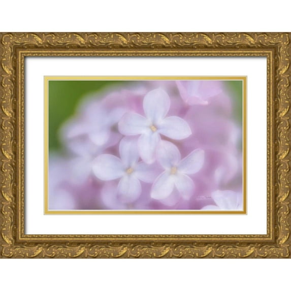 Murdock, Ramona 24x17 Gold Ornate Wood Framed with Double Matting Museum Art Print Titled - Soft Lilac