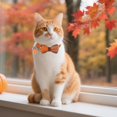 thumbnail image 2 of Mumup 2Pack Christmas Cat Collars Breakaway with Stylish Bow, 2 Pack Red Green Plaid Xmas Kitten Collar with Bell, Removable Bowtie Christmas Collar for Cats, 2 of 6