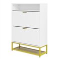 Shoe Storage With 2Drawers Narrow Shoe StorageWith Adjustable