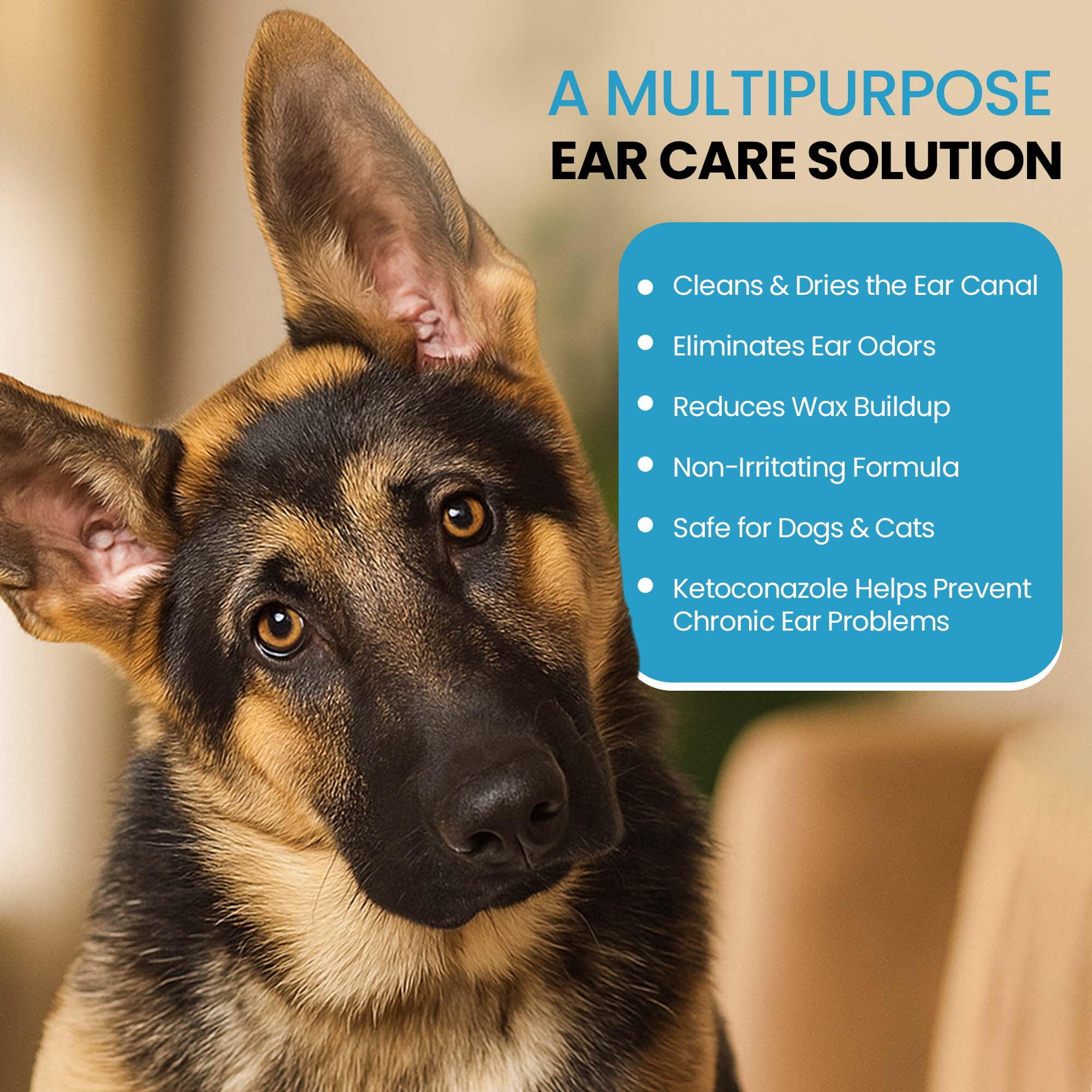 Replenish Dog Anti Itch Ear Cleaner Flush for Dogs and Cats – Advanced Ear Cleanser with Ketoconazole – Deodorizing Support – 8 oz