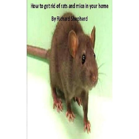 Dealing with rats and mice in your home: kill or humane methods - (Best Way To Kill Rats And Mice)