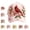 Cardinal, variant on Garden Morning Cap, Bee & Bloom Baseball Hat, Adjustable Cotton Hummingbird Flowers, Lightweight Breathable for Outdoor