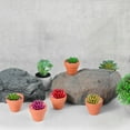 thumbnail image 7 of BESTONZON 20Pcs Small Mini Terracotta Pot Clay Ceramic Pottery Planter Cactus Flower Pots Succulent Nursery Pots Great for Plants Crafts Wedding Favor, 7 of 7