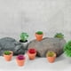 thumbnail image 5 of BESTONZON - Macetas pequeñas de terracota (20 unidades), de cerámica, para cactus, suculentas, ideales para manualidades y recuerdos de boda., 5 of 6