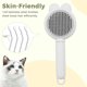 thumbnail image 4 of Pet Comb Stainless Steel Needle Massage Cleaning Needle Comb Hair Removal Brush Portable One Click Self Cleaning Comb Grooming Tools, 4 of 6