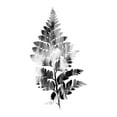 thumbnail image 2 of Lewis, Sheldon 15x18 White Modern Wood Framed Museum Art Print Titled - Faded Fern 2, 2 of 4