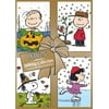 Peanuts Holiday Collection (A Charlie Brown Christmas / It's The Great Pumpkin, Charlie Brown / A Charlie Brown Thanksgiving) (DVD)