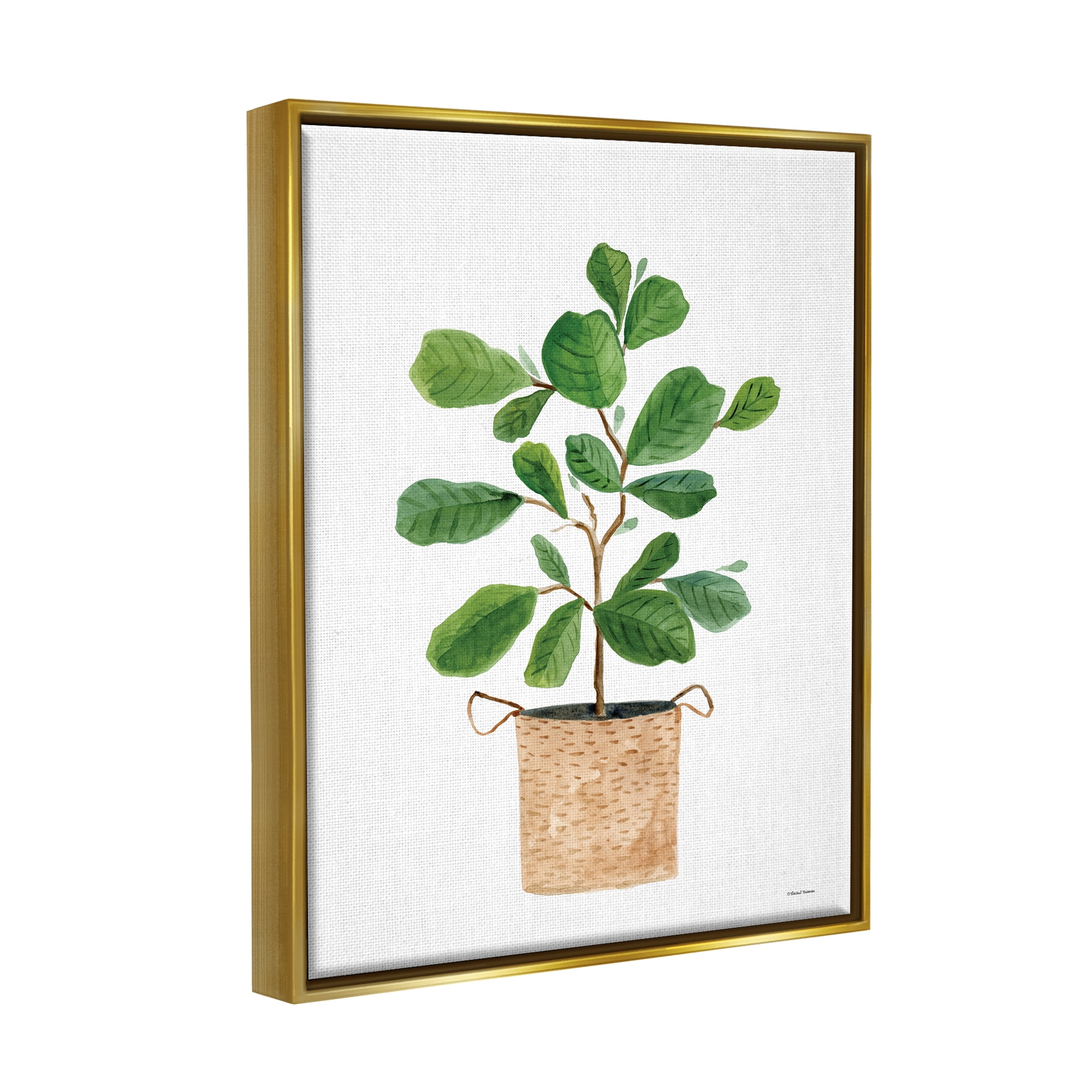 Stupell Casual House Plant Botanicals Botanical & Floral Painting Gold Floater Framed Art Print Wall Art