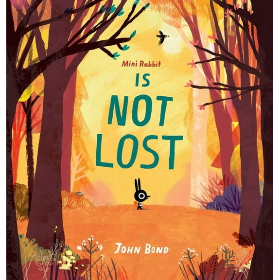 Mini Rabbit Is Not Lost, (Hardcover)