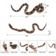 thumbnail image 4 of Juguete de serpiente falsa Gelabur, broma realista de goma para Halloween, 4 of 7