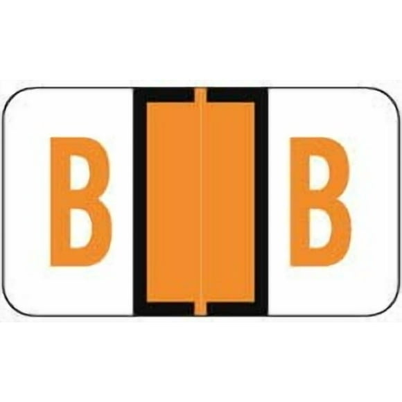 Doctor Stuff - File Folder Labels, Alphabet Letter B, Jeter/TAB 5100 - JRAM Series Compatible Alpha Stickers, Light Orange, 15/16" x 1-5/8", 225 Labels per Package