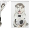 thumbnail image 2 of Coolnut Funny Puppy Holding A Soccer Ball Semi Sheer Curtains Window Voile Drapes Panels Treatment-55x78in for Living Room Bedroom Kids Room, 2 Pieces, 2 of 3