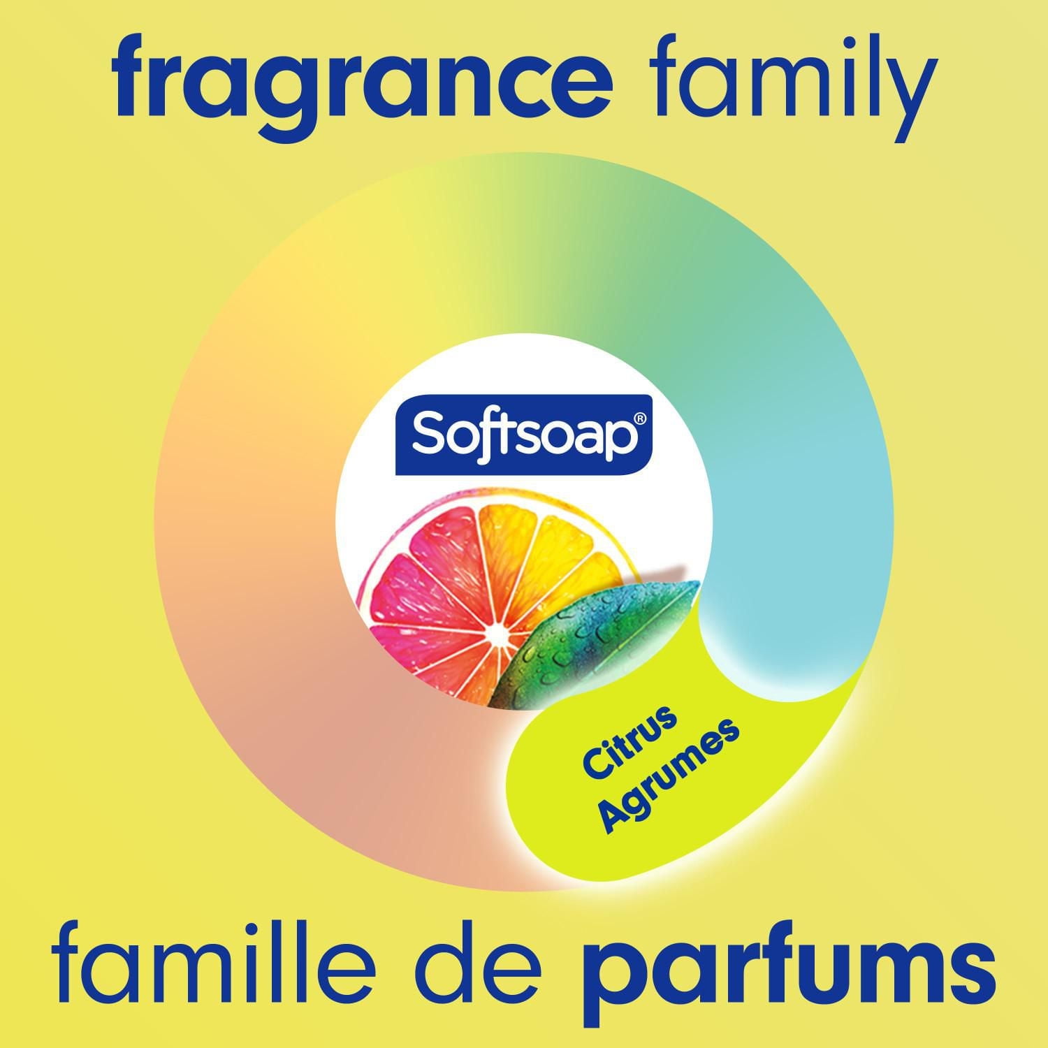 Pompe de savon liquide pour les mains Softsoap Antibactérien Agrumes frais, 332 mL savon liquide