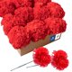 thumbnail image 2 of Royal Imports Artificial Carnations, Silk Flower Flowers, para arreglos funerarios, ramos de boda, coronas de cementerios, manualidades de bricolaje - 100 tallos de 5 " - rojo Royal Imports Ver descripción, 2 of 2