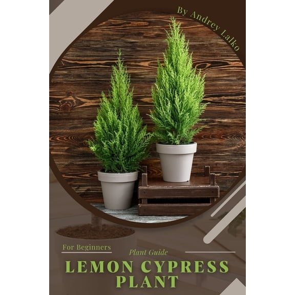 Lemon Cypress Plant: Plant Guide