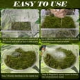 thumbnail image 5 of ZeeDix 50QT Sphagnum Moss for Reptile (Leopards, Geckos, Snakes, Turtles, Frogs), Reptile Moss Bedding for Terrarium Plants, Long Fiber Reptile Moss (2.2LBS Green Natural Sphagnum Moss), 5 of 8