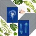thumbnail image 2 of 60 Sheets Sun Print Paper Cyanotype Paper Kit, A6 Sun Art Paper, 2 of 5