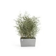 thumbnail image 4 of Ecopots Paris Durable Modern Rectangular Indoor/Outdoor Recycled Based Composite Flower Planter, White Grey, 31.5", 4 of 4