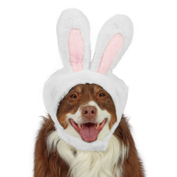 Vibrant Life Easter Bunny Ears for Dogs, White, L