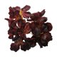 thumbnail image 2 of Cabeza de flor de seda, decoración floral artificial, material artesanal, elegante decoración del hogar, para bodas, cabeza de flor artificial, suministros para manualidades, planta, 2 of 8