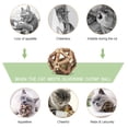 thumbnail image 3 of Catnip Toys Gochanmon Natural Silvervine en bastón, 2 unidades, para gatos, 3 of 7