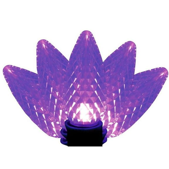 Holiday Bright Lights 9107050 LED PS C9 Purple Christmas Light Bulbs - 25 Count