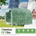 thumbnail image 6 of Homall 10 x 6.5 ft Patio Greenhouse with Zippered Door & 6 Roll-up Windows, Outdoor Walk-in Tunnel Greenhouse with Galvanized Frame & Waterproof  Green, 6 of 7