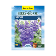 Ferry-Morse 120MG Salvia Blue Bedder Perennial Flower Seeds Partial Shade