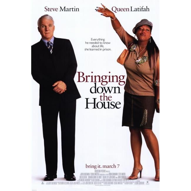 bringing down the house full movie free