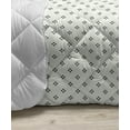 thumbnail image 3 of Geometric Down Alternative Comforter, Modern Contemporary Image Shapes Art Half Round Circles, Microfiber Quilt for All Season, 5 Sizes, Charcoal Grey Pearl, by Ambesonne, 3 of 3