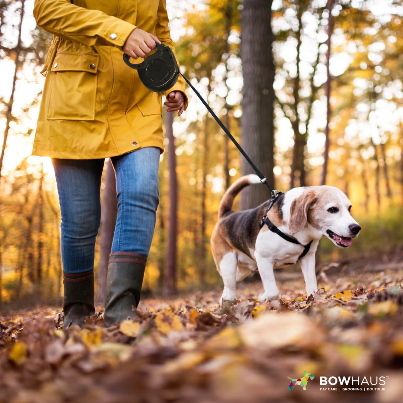 BOWHAUS Heavy Duty Retractable Dog Leash with One-Handed Brake, Pause, Lock, No Noise Pet Walking Leash for Tangle-Free Dog Walking, Not Easy to Jam, with Non-Slip Handle