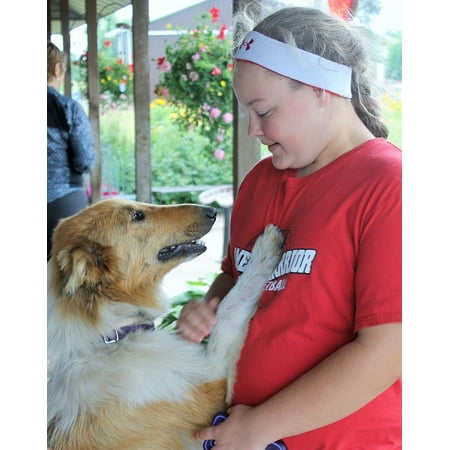 - Laminated Poster Pet Happy Collie Cute Dog Lassie Animal Canine Poster Print 11 x 17