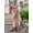 Buttery White, variant on Banarasi Silk All Over Woven Zari Butti Attractive Saree With Contrast Pallu – Greenish Beige