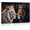 Frame-style, variant on Regal King and Queen Lions Canvas Wall Art with Crowns, Majestic Wildlife Animal Poster Print for Living Room Bedroom Office Home Decorations