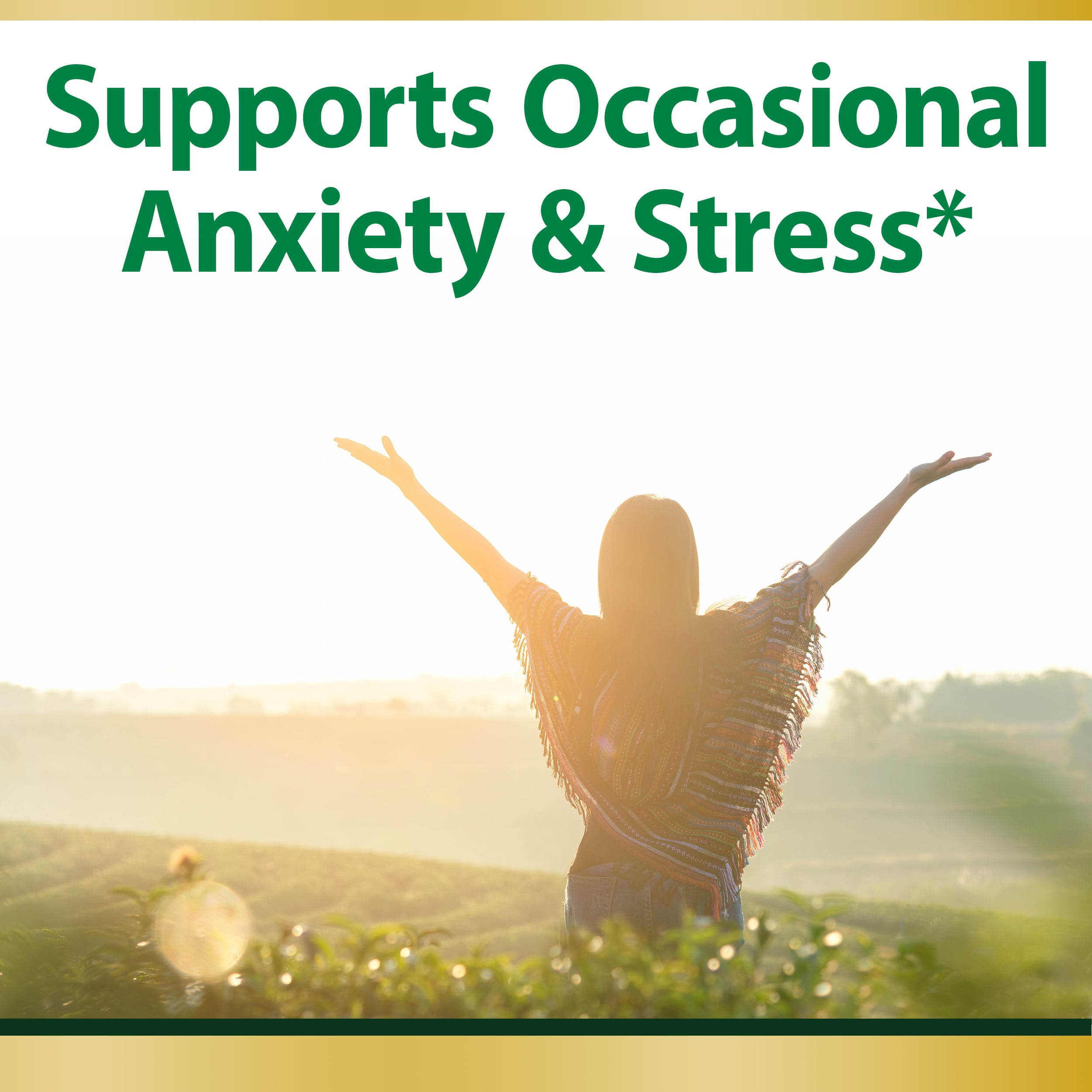 Nature's Bounty Anxiety & Stress Relief Ashwagandha KSM-66, Dietary Supplement, Tablets, 90 Ct