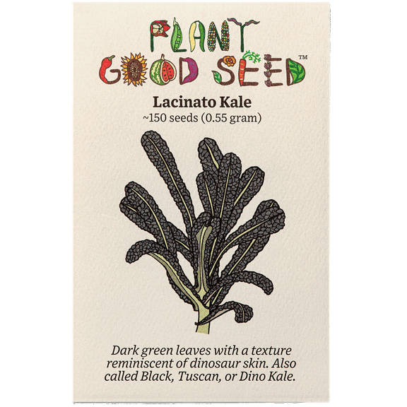 Lacinato Kale Seeds