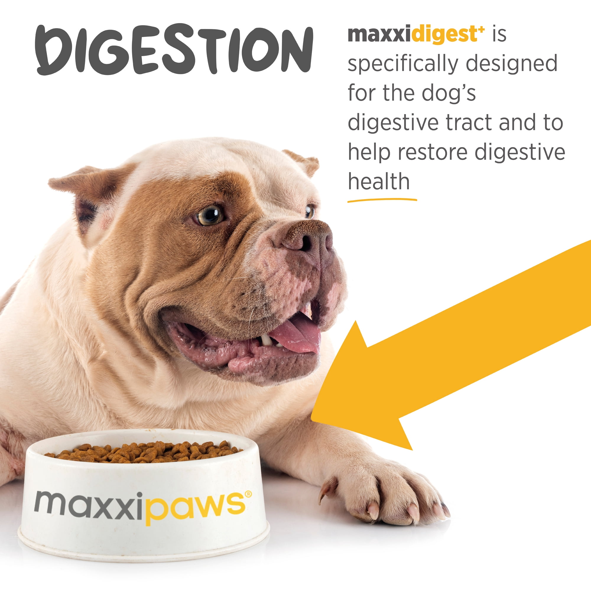 maxxidigest+ Probiotic & Prebiotic Powder Supplement - Digestive & Immune Support for Dogs, 7oz