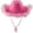 D, variant on Western Cowboy Top Hat For Men And Women, Warm And Winter Jazz Hat, Woolen Top Hat
