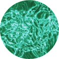 thumbnail image 1 of Ahgly Company Tapis Rond Lavable en Machine Intérieur Transitionnel Moyen Vert Printemps, 4 Pieds Rond, 1 of 7