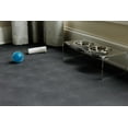 thumbnail image 4 of visit the g-floor store Levant Texture Protective Vinyl Floor Covering Pets 7.5ft x 17ft Gray, 4 of 8
