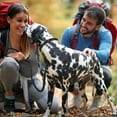 thumbnail image 6 of Fida Durable Slip Lead Dog Leash, 6 FT x 1/2" Heavy Duty Dog Loop Leash, Comfortable Strong Rope Slip Leash for Large, Medium Dogs, No Pull Pet Training Leash with Highly Reflective, Black, 6 of 6